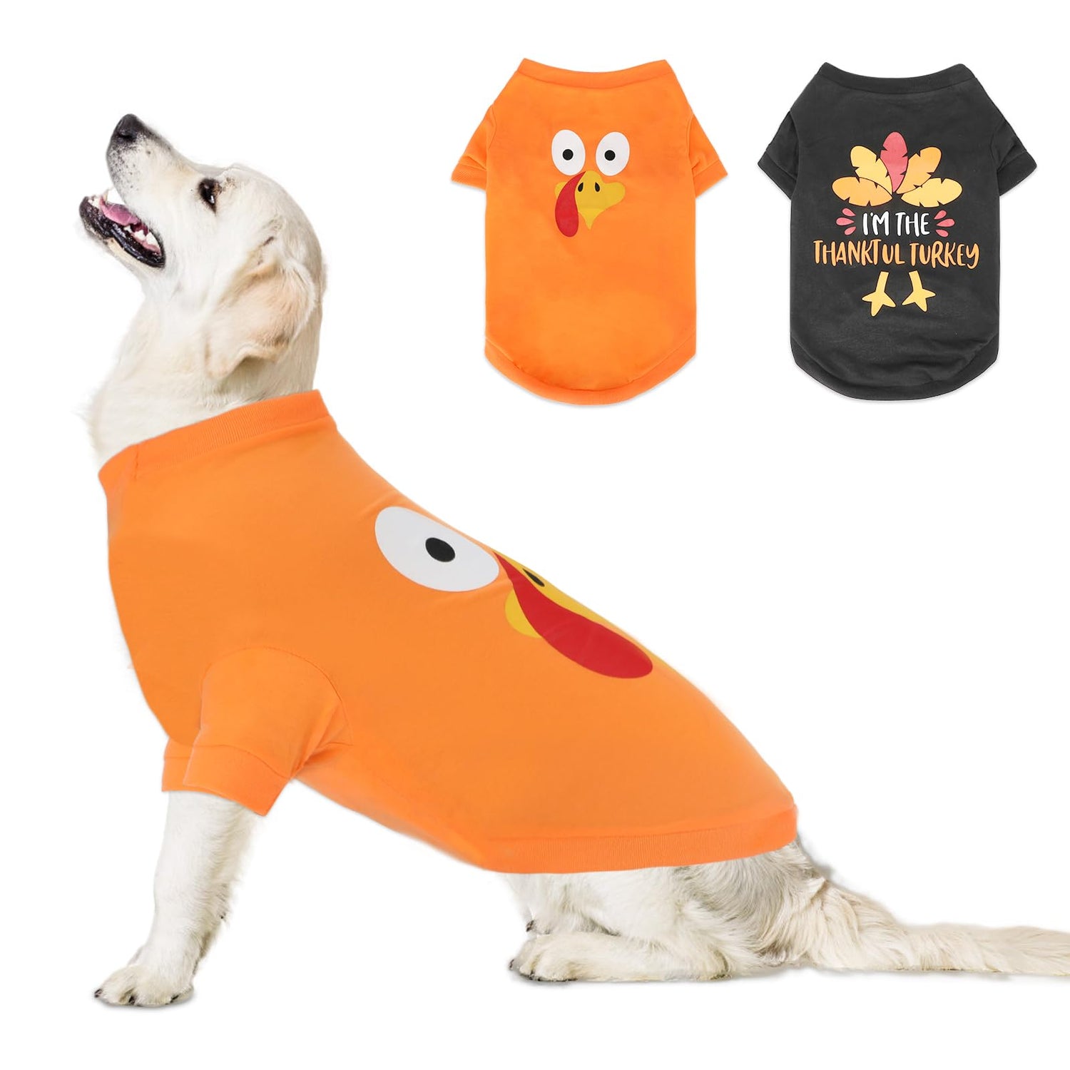 Apparel