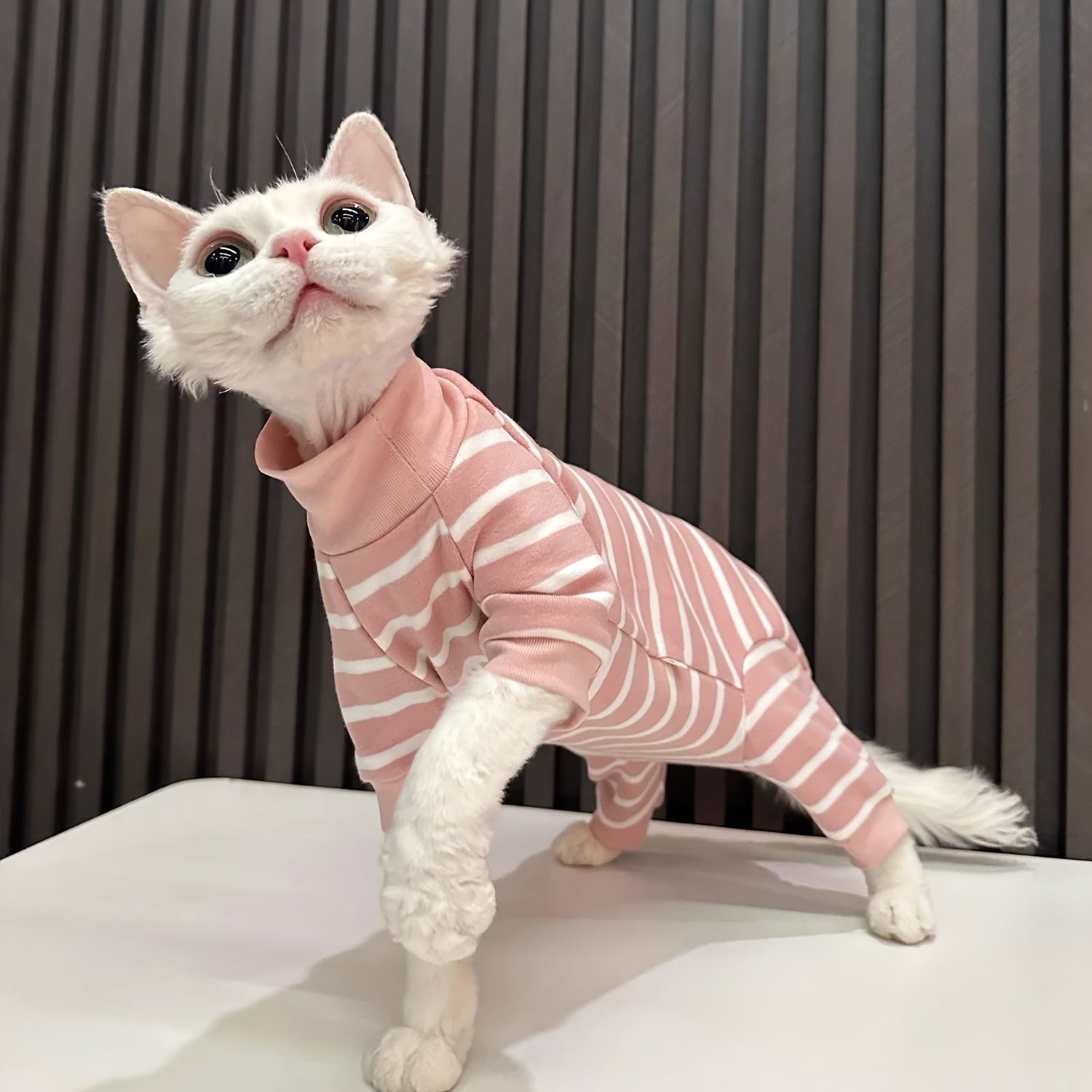 Cat Apparel