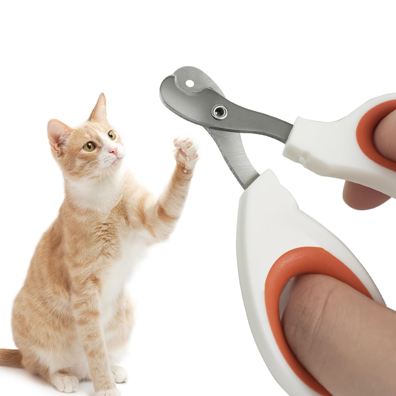 Cat Clippers