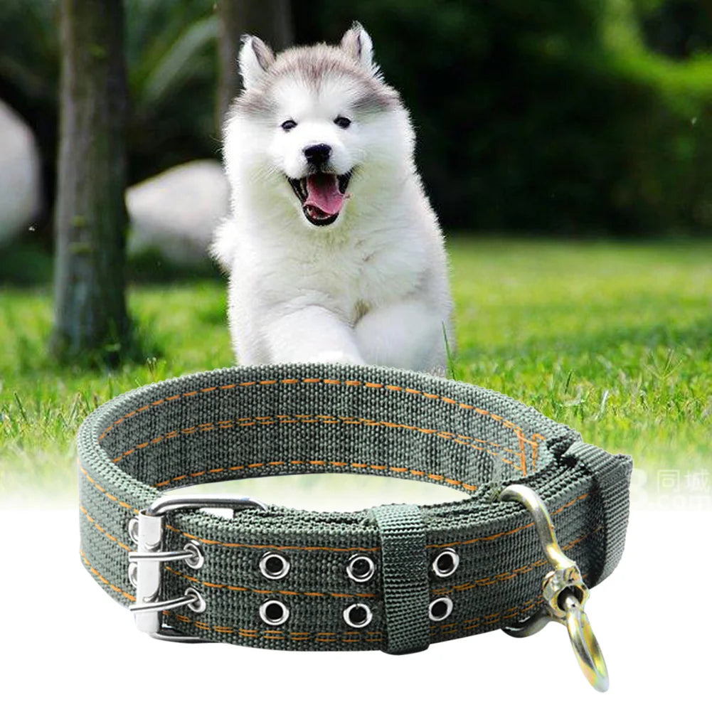 Army Green Dog Double-Breasted Necklace Adjustable Strong Dog Collar Metal Buckle Double Row Thickening for Siberian Husky