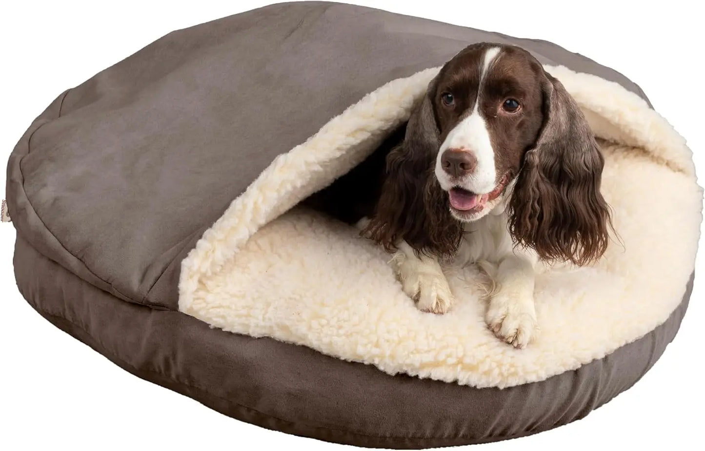 Villa 24 Inch Shredded Memory Foam Dog Bed for Small Sized Dogs 24x19x7 Inch 2013 Orthopedic Dog Bed with Removable Washable Cover
